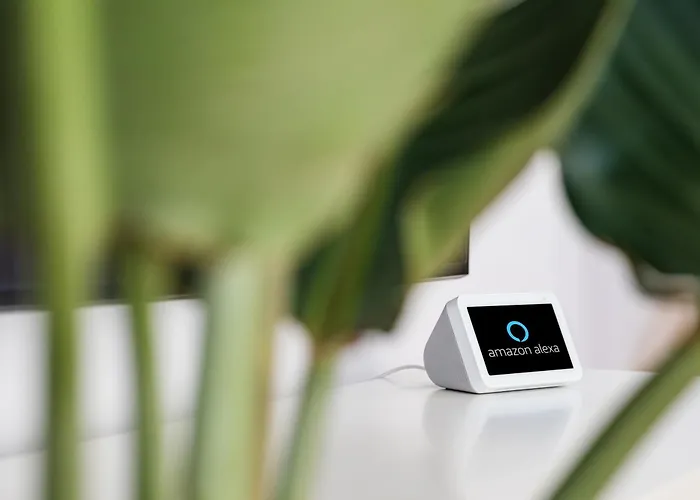 With Mount Teide And Sea Views Santa Úrsula