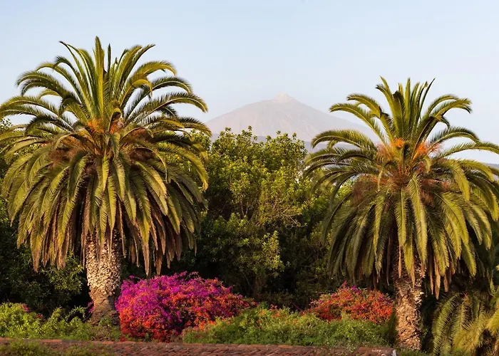 With Mount Teide And Sea Views