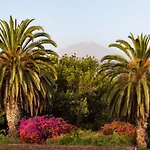 With Mount Teide And Sea Views