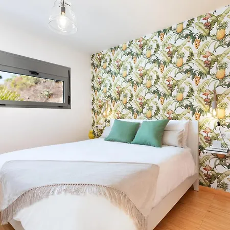 With Mount Teide And Sea Views *