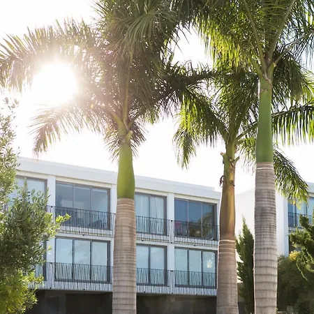 With Mount Teide And Sea Views Санта-Урсула