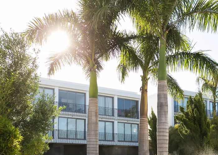 With Mount Teide And Sea Views Санта-Урсула